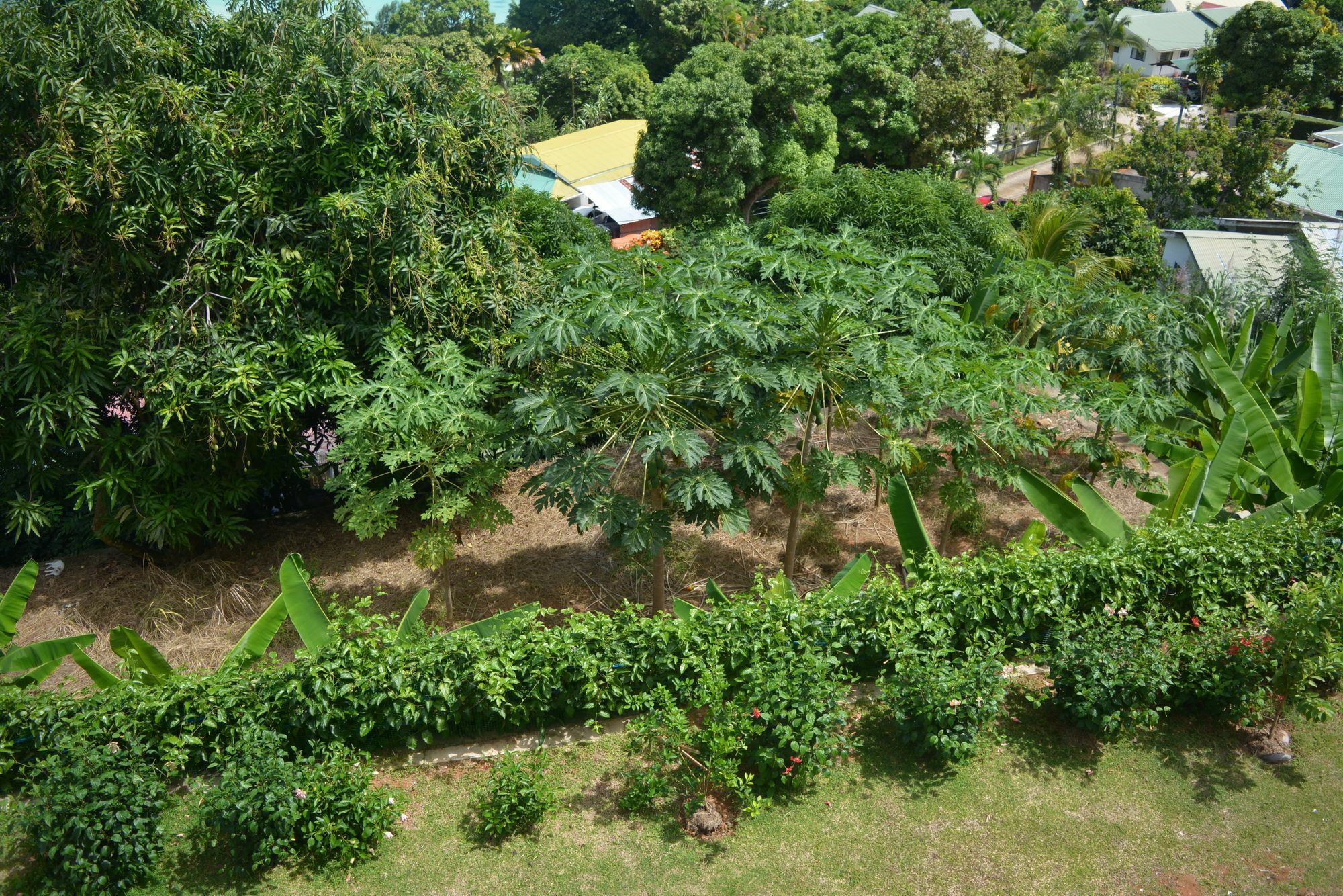 Manfiyo Guest House Anse Boileau Zewnętrze zdjęcie